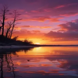 aesthetic sunset wallpapers