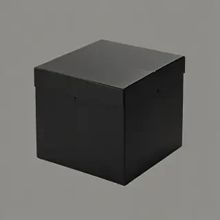 black box png