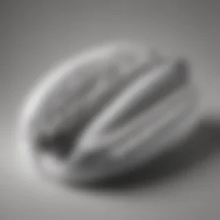 hot dog clipart black and white