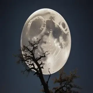 moon frawing