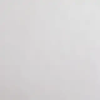 white bg