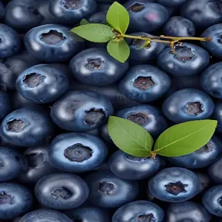 blueberry png