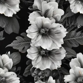 black and white flower