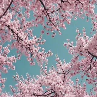 spring backgrounds aesthetic