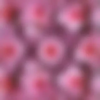 flower wallpaper iphone