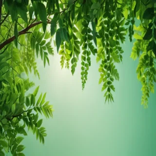 aesthetic green backgrounds