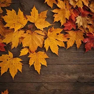 fall background wallpaper iphone