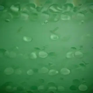 green background