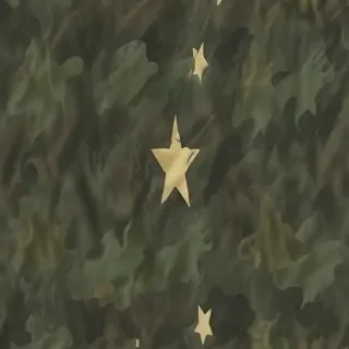 army background
