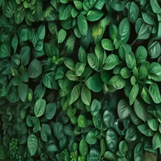 greenery iphone background