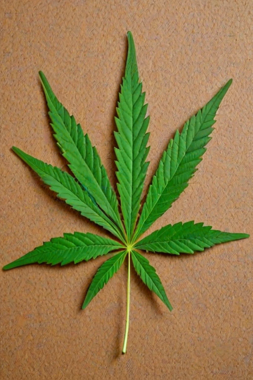 marijuana leaf