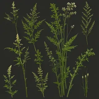weeds png