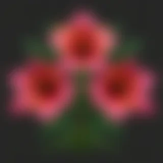 png border flower