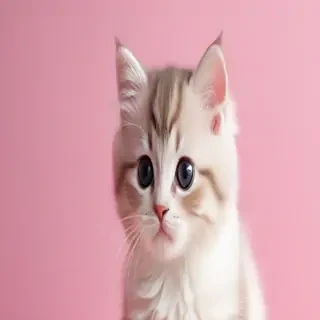 background cute cat wallpaper