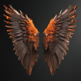 angle wings png