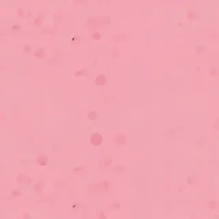 pink plain background