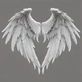 transparent angel wings png