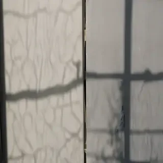 window shadow