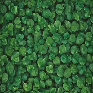 green leaf background