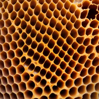 honeycomb png