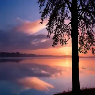 nature iphone background