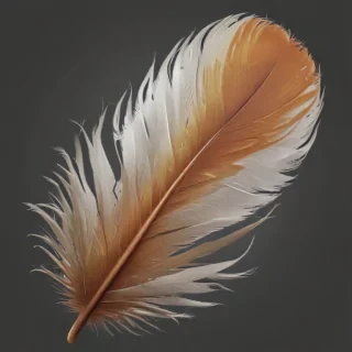 feather png