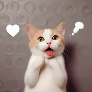 funny background pics
