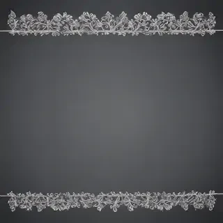 transparent borders