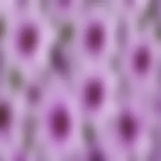 purple flowers transparent background
