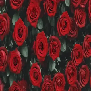 red roses aesthetic