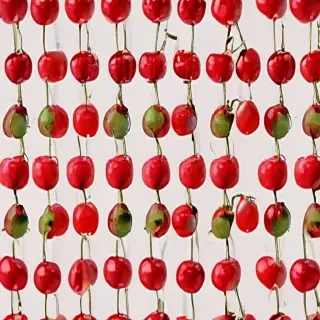 cherry aesthetic wallpaper