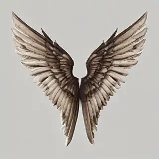 angle wings png