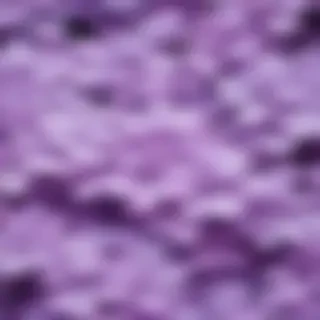 aesthetic lilac wallpaper
