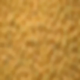 mac and cheese png