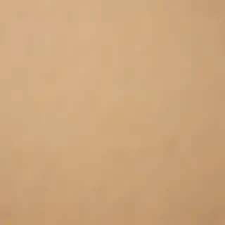 grain paper texture