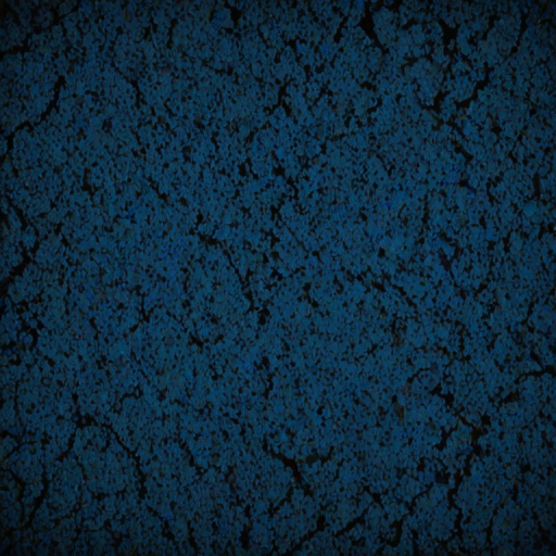 blue and black backgrounds