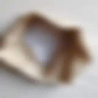 crumpled up paper