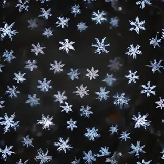 transparent snow png