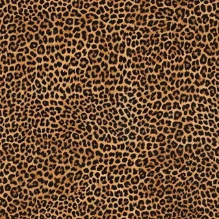 leopard print png