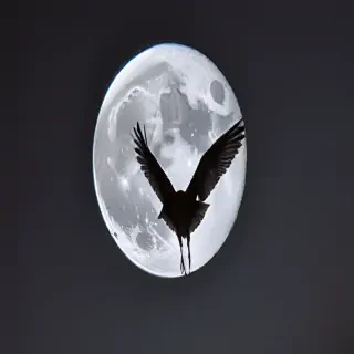 moon frawing