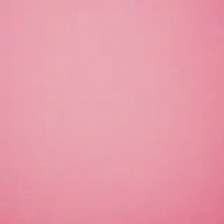 pink background iphone