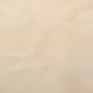backgrounds cream