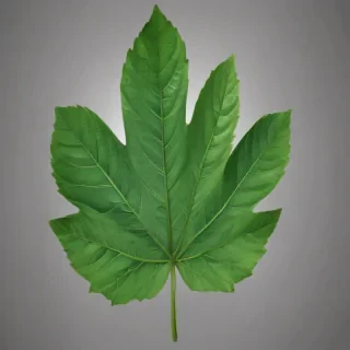 green leaf png