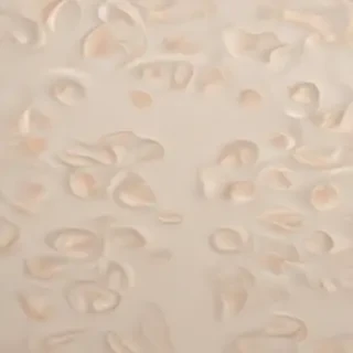 neutral wallpaper iphone
