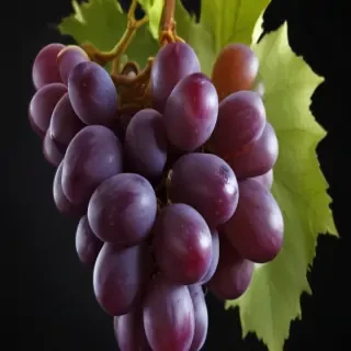 grapes png