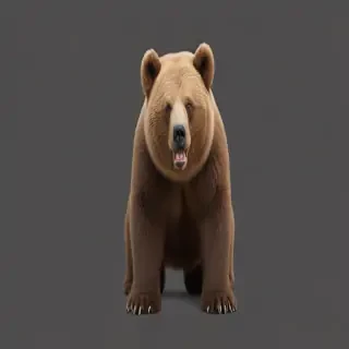 png bear