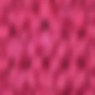 hot pink wallpaper for iphone