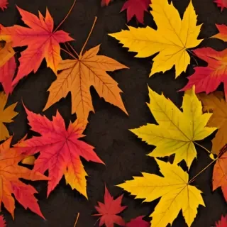 fall leaves png