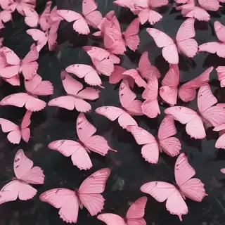 pink butterflies aesthetic
