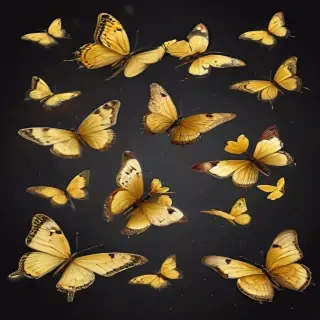 butter flies png